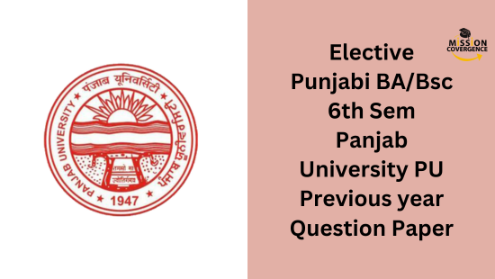 Elective Punjabi BA/Bsc 6th Sem Panjab University PU Previous year Question Paper