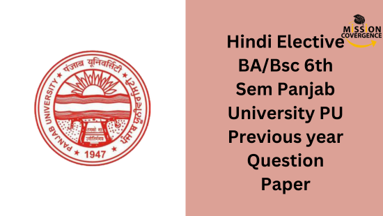 Hindi Elective BA/Bsc 6th Sem Panjab University PU Previous year Question Paper